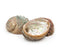 pink abalone